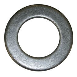 6550270.jpg